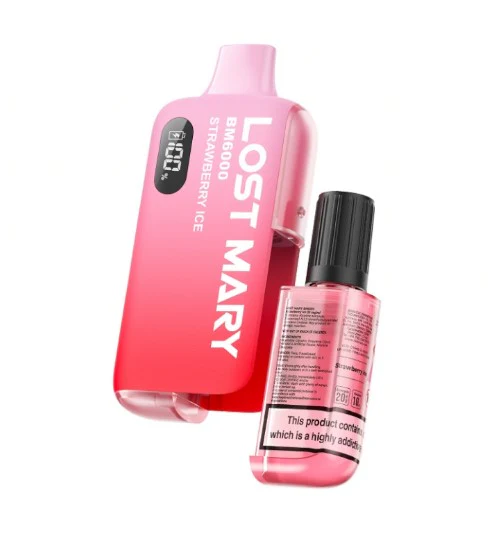 Lost Mary BM6000 Old Style Puff Pre-Filled Pod Vape Kit - Image 12